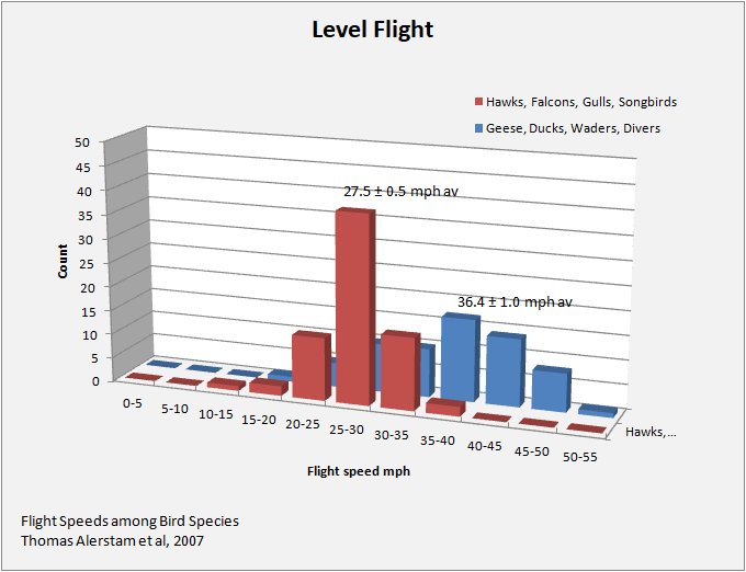 Level flight: Wingspan versus Airspeed
