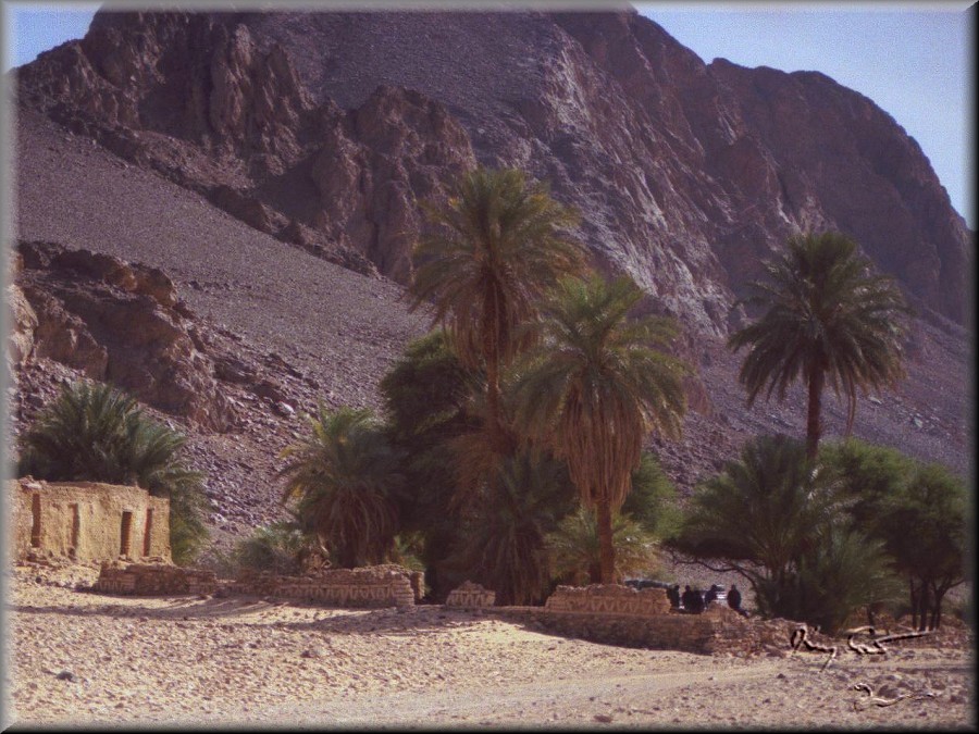 sahara desert, algeria