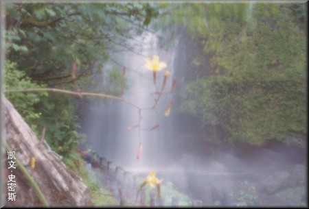 pinhole photograph gallery, Multnomah Falls